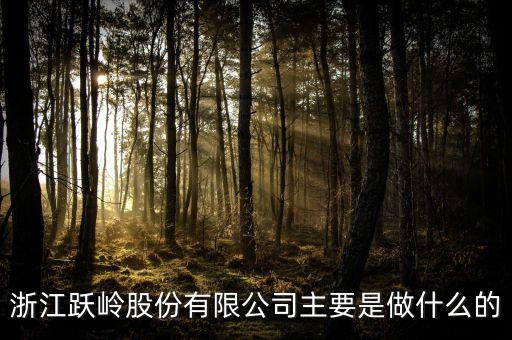 躍嶺出了什么事，浙江躍嶺股份有限公司主要是做什么的