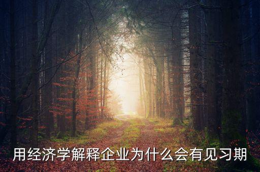 有用經(jīng)濟學企業(yè)為什么有，運用經(jīng)濟學常識說明喬布斯引領(lǐng)蘋果公司取得成功的原因
