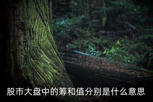 個股盤出現(xiàn)有籌是什么意思，股市大盤中的籌和值分別是什么意思