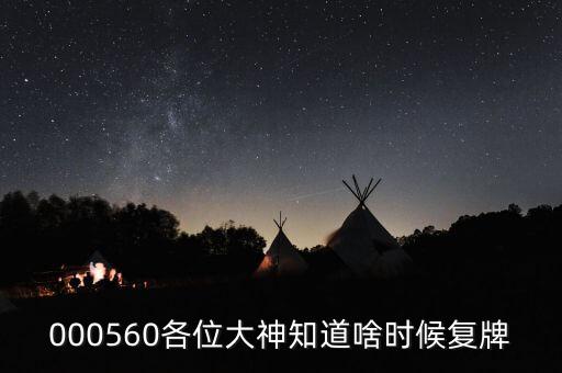 賽象科技什么時候復(fù)牌，000560各位大神知道啥時候復(fù)牌