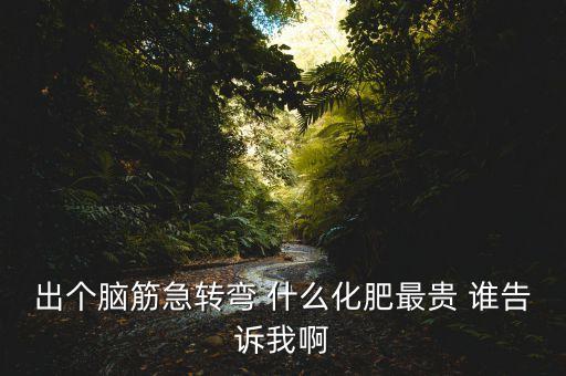什么化肥化肥最貴，硝硫基復合肥料和硫基復合肥料哪個價格更貴些