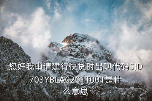 建行快貸是什么意思，您好我申請(qǐng)建行快貸時(shí)出現(xiàn)代碼SJD703YBLA0201T001是什么意思