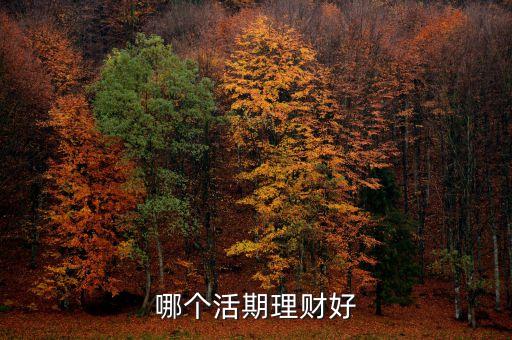 哪個(gè)活期理財(cái)好