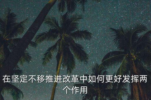 改革浪潮中該做好什么，在堅定不移推進改革中如何更好發(fā)揮兩個作用