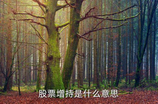 股東增持股票什么意思，大股東增持是什么意思