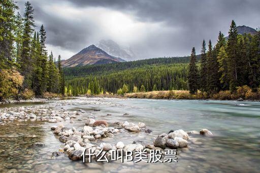 分級股b什么意思，分級基金b和b股一樣嗎