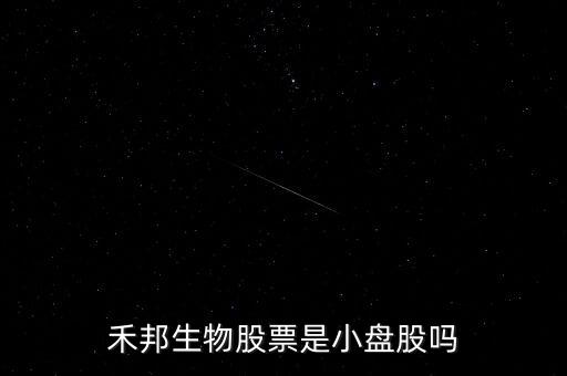 禾邦生物股票是小盤(pán)股嗎