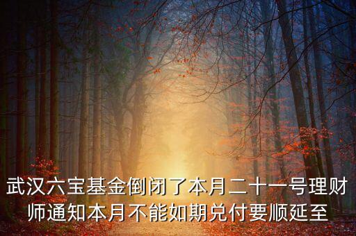 武漢六寶基金倒閉了本月二十一號理財(cái)師通知本月不能如期兌付要順延至
