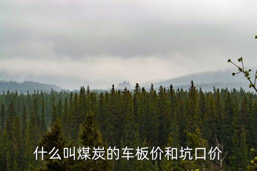 什么叫煤炭坑口價，煤炭坑口價格是什么意思呀有知道的好心人請給予答復(fù)