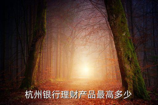 豐裕1號(hào)有什么風(fēng)險(xiǎn)，杭州銀行理財(cái)產(chǎn)品豐裕一號(hào)風(fēng)險(xiǎn)等級(jí)怎么