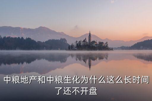 中糧地產(chǎn)和中糧生化為什么這么長時間了還不開盤