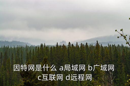 因特網是什么 a局域網 b廣域網 c互聯網 d遠程網