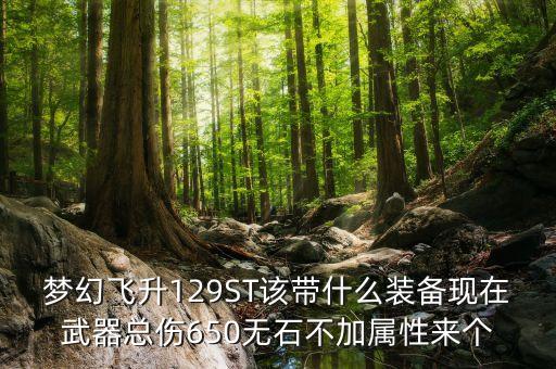 129st要什么裝備，夢(mèng)幻飛升129ST該帶什么裝備現(xiàn)在武器總傷650無石不加屬性來個(gè)