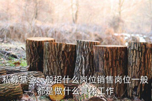 私募公司的市場(chǎng)部做什么，投資公司的市場(chǎng)部職員主要做什么