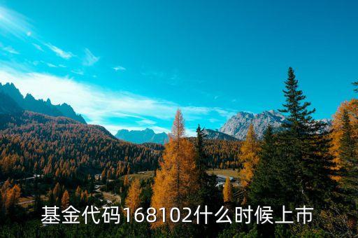 168101基金什么時(shí)候上市，基金代碼168102什么時(shí)候上巿