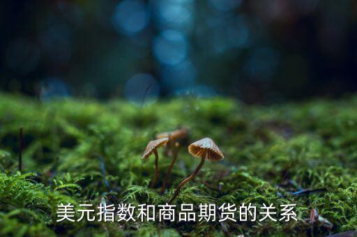 燃油指數(shù)和燃油期貨什么關(guān)系，美元指數(shù)和商品期貨的關(guān)系