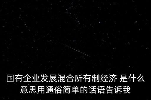 為什么要進(jìn)行混合所有制改革，國有企業(yè)發(fā)展混合所有制經(jīng)濟(jì) 是什么意思用通俗簡單的話語告訴我