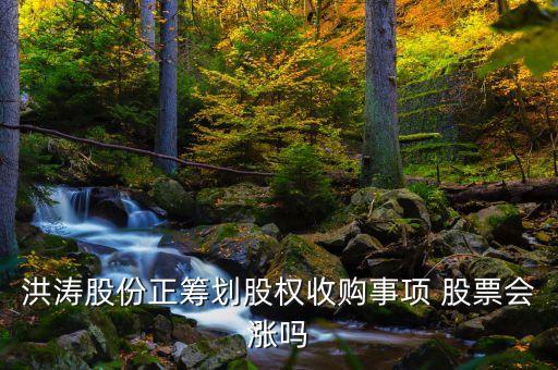 洪濤股份收購什么公司，002325股權(quán)收購不成功股票會(huì)漲嗎