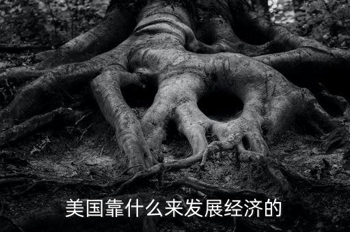 美國經(jīng)濟(jì)靠什么，美國靠什么來發(fā)展經(jīng)濟(jì)的