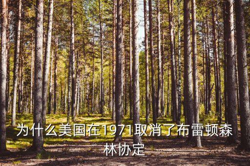 什么取代了布雷頓森林體系，布雷頓森林體系的產(chǎn)生說(shuō)明了