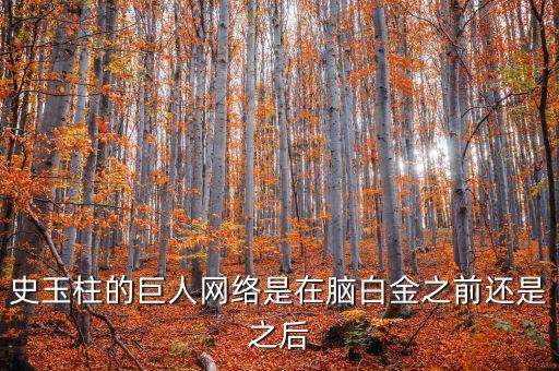 史玉柱的巨人網絡是在腦白金之前還是之后