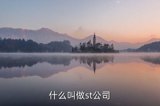 st華錦是什么公司，什么叫做st公司