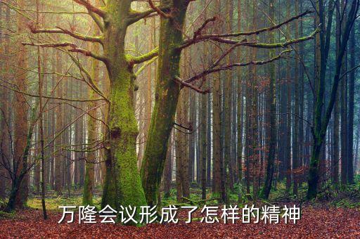 萬(wàn)隆會(huì)議形成了怎樣的精神