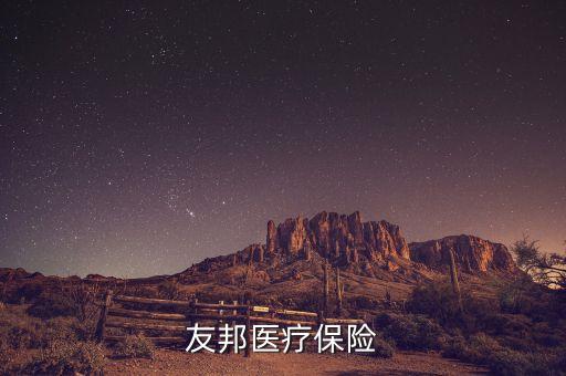 花旗代理友邦什么保險(xiǎn)，花旗和友邦合作的意外保險(xiǎn)怎么樣