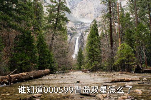青島雙星什么時候復牌，000560各位大神知道啥時候復牌