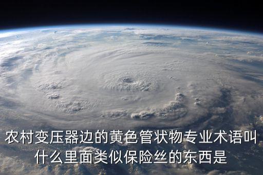 農村變壓器邊的黃色管狀物專業(yè)術語叫什么里面類似保險絲的東西是