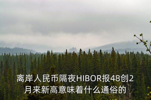 離岸人民幣隔夜HIBOR報48創(chuàng)2月來新高意味著什么通俗的
