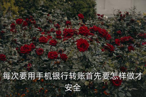 手機(jī)銀行轉(zhuǎn)賬有什么可以保護(hù)安全，手機(jī)開(kāi)了手機(jī)銀行怎么保護(hù)