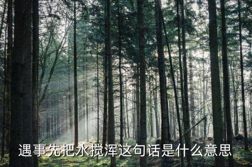 攪渾水什么意思，遇事先把水?dāng)嚋嗊@句話是什么意思