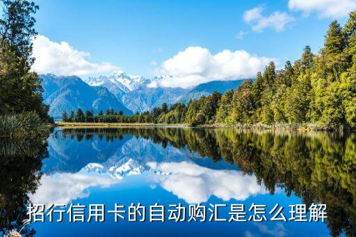 自動(dòng)購匯轉(zhuǎn)出什么意思，什么是中國銀行信用卡的外幣自動(dòng)購匯