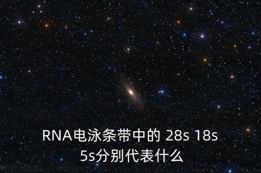 中能國研是什么，在HTML中content是什么意思