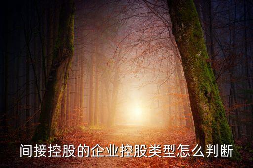 間接持股是什么意思，間接是什么意思