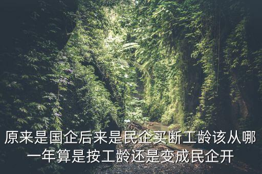 廣西貴糖什么時候變私企，廣西在什么時候開始變得落后起來的原因是