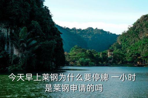 山東鋼鐵為什么停牌，濟(jì)南鋼鐵為什么停牌重組會(huì)成功嗎