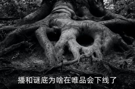 風(fēng)行電視為什么在唯品會(huì)下架，風(fēng)行網(wǎng)絡(luò)電視怎么了