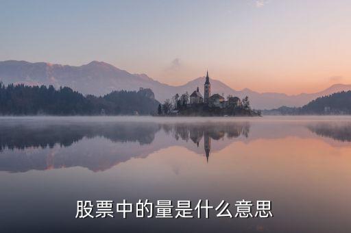 股票數(shù)量是什么，股票中的量是什么意思