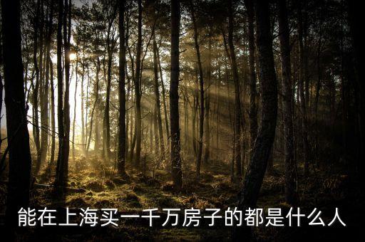在上海買房的人都是一些什么人，能在上海買一千萬房子的都是什么人