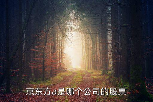 京東方a是什么企業(yè)，京東方A董事長是誰是什么企業(yè)