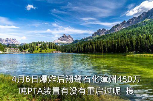 4月6日爆炸后翔鷺石化漳州450萬(wàn)噸PTA裝置有沒有重啟過呢  搜