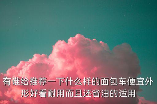 有誰(shuí)給推薦一下什么樣的面包車便宜外形好看耐用而且還省油的適用