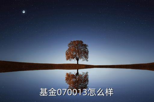 070013基金是什么基金，基金070013前面加of什么意思