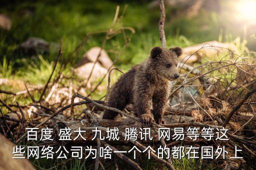 盛大為什么上市，百度 盛大 九城 騰訊 網(wǎng)易等等這些網(wǎng)絡(luò)公司為啥一個(gè)個(gè)的都在國外上