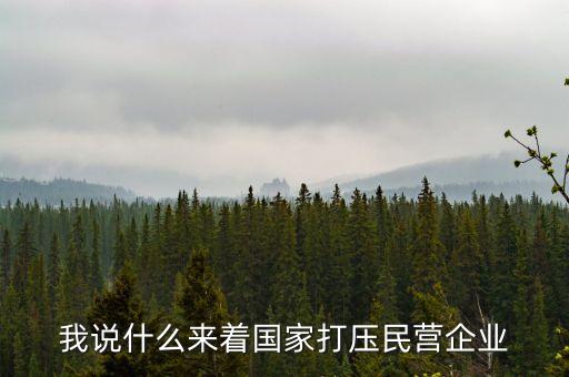 中國為什么打壓民企，我說什么來著國家打壓民營企業(yè)