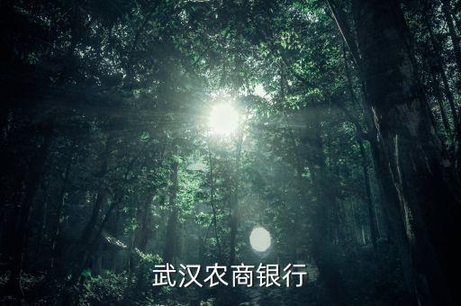 武漢農(nóng)商行的主要業(yè)務(wù)是什么，各銀行的主要業(yè)務(wù)以及業(yè)務(wù)范圍是什么
