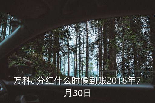 利君2016年的分紅什么時(shí)候到帳，2016年十二月以后垮行轉(zhuǎn)賬最遲多久到帳