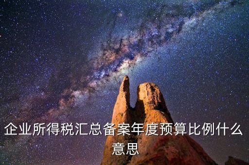 什么是財(cái)政調(diào)庫，總機(jī)構(gòu)在國稅繳納所得稅并且企業(yè)所得稅匯總分支機(jī)構(gòu)還用在地稅繳納